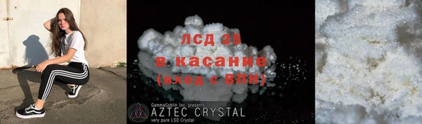ГАЛЛЮЦИНОГЕННЫЕ ГРИБЫ Алзамай