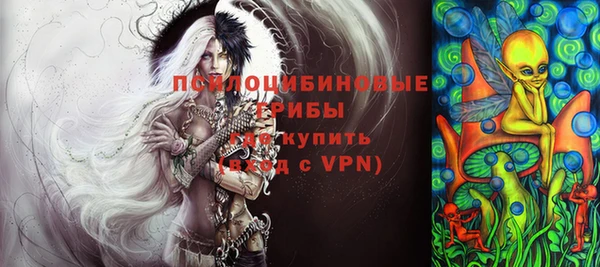 ГАЛЛЮЦИНОГЕННЫЕ ГРИБЫ Алексин