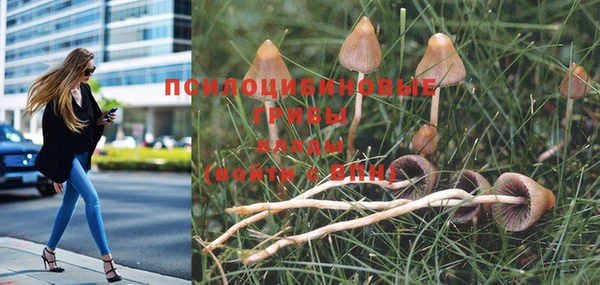 ГАЛЛЮЦИНОГЕННЫЕ ГРИБЫ Алексин